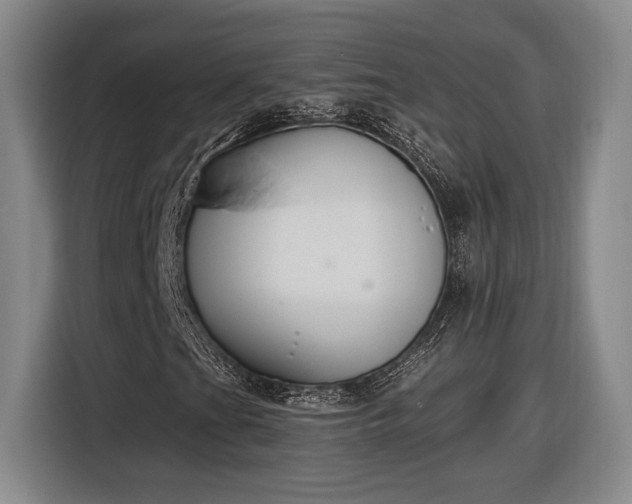 X0000116511201200912161332