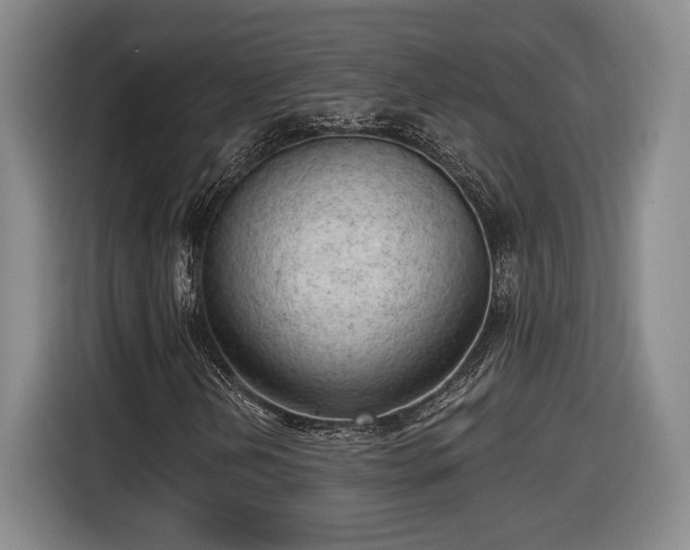 X0000116511202200912161332