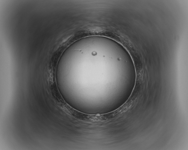 X0000116511205200912161332