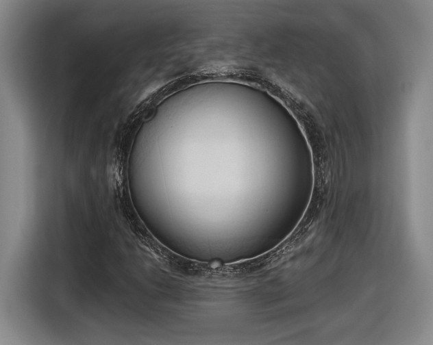 X0000116511206200912161332