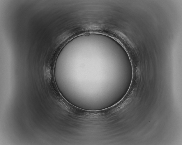 X0000116511209200912161332