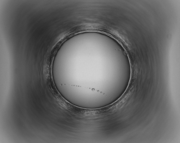 X0000116511211200912161332