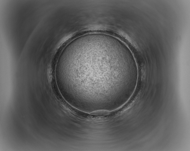 X0000116511213200912161332