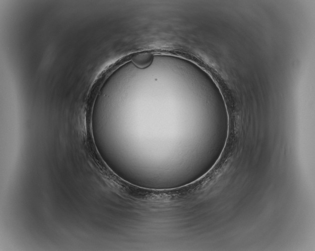 X0000116511214200912161332