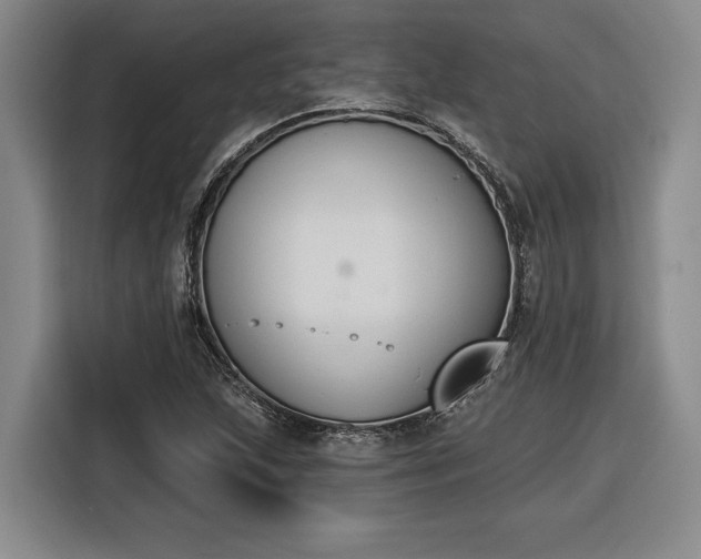 X0000116511215200912161332