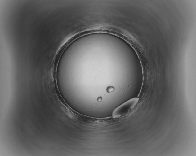 X0000116511216200912161332