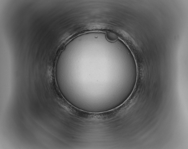 X0000116511217200912161332