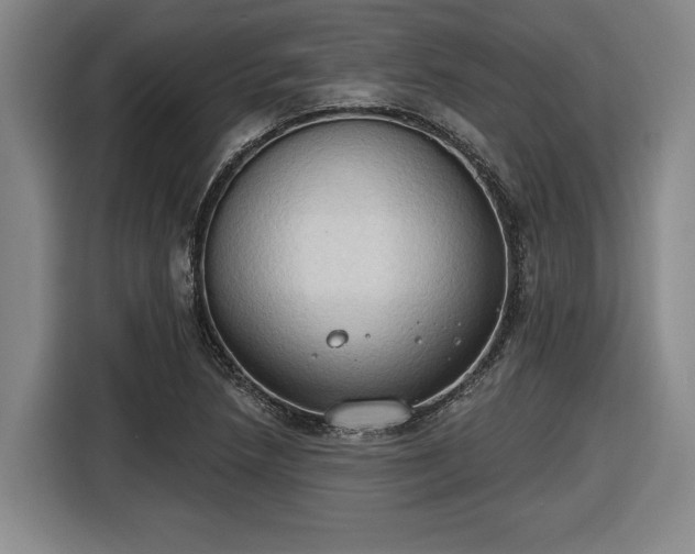 X0000116511218200912161332