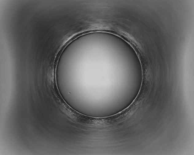 X0000116511220200912161332