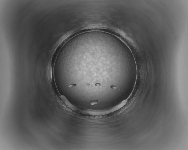 X0000116511221200912161332