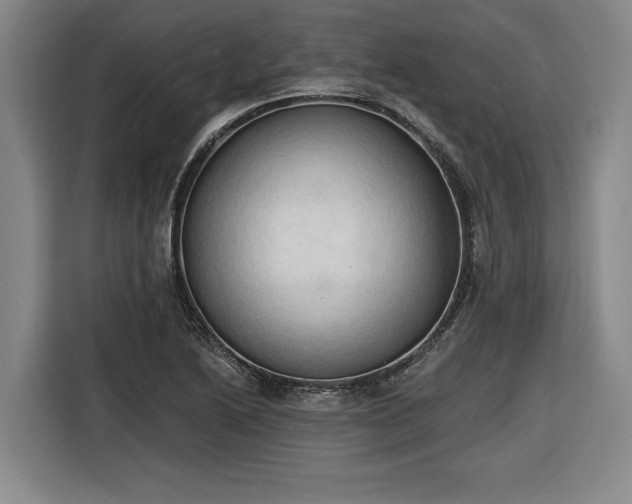 X0000116511222200912161332