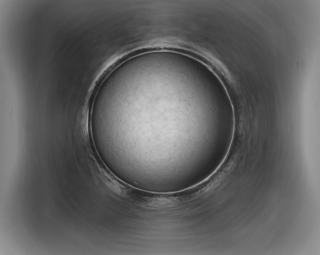 X0000116511224200912161332