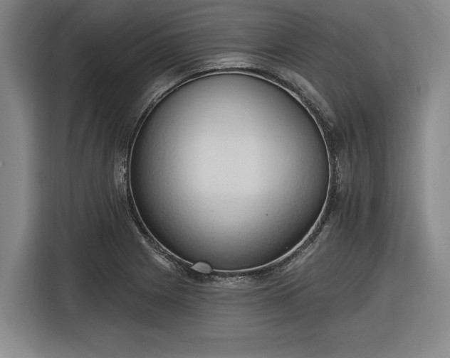 X0000116511225200912161332