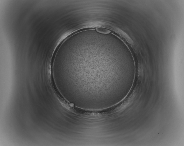 X0000116511226200912161332