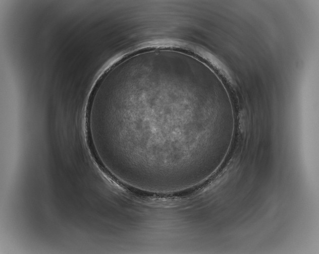 X0000116511229200912161332