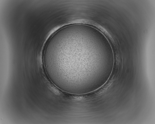 X0000116511230200912161332