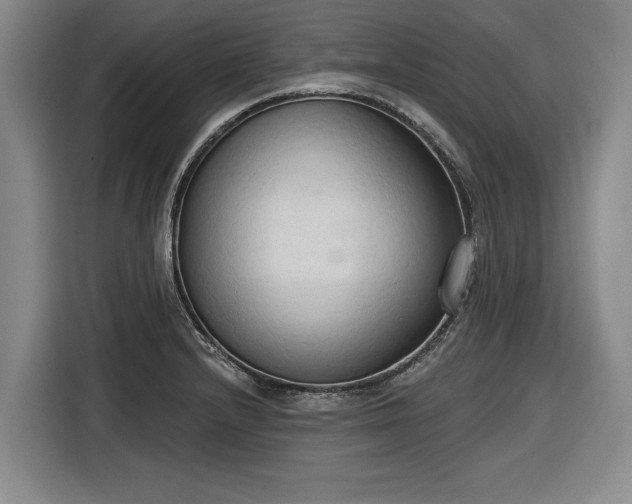 X0000116511232200912161332