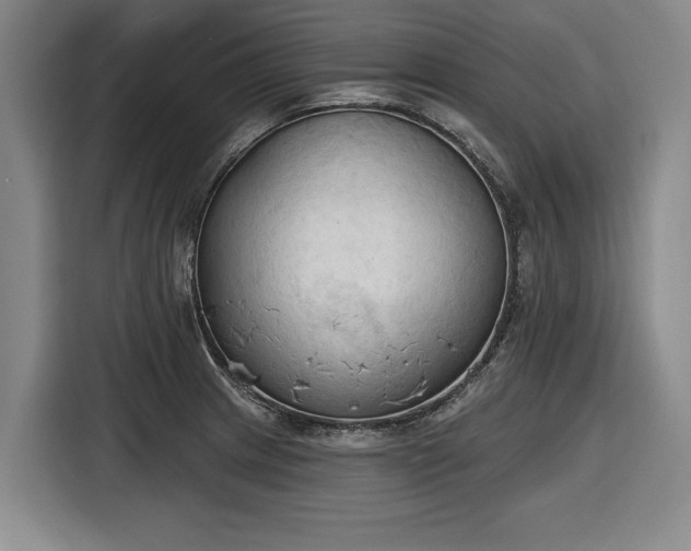 X0000116511233200912161332