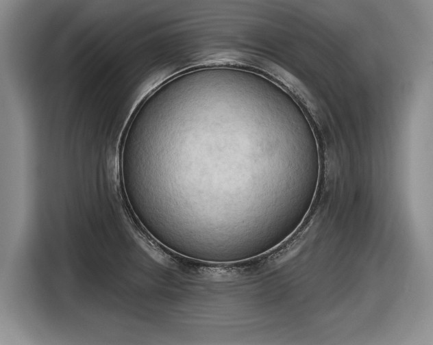 X0000116511234200912161332