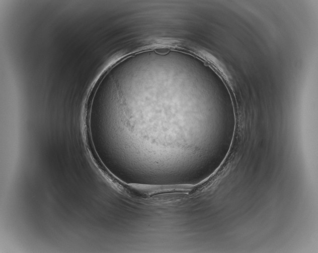 X0000116511235200912161332