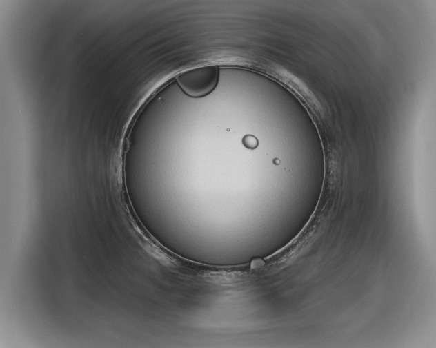 X0000116511236200912161332