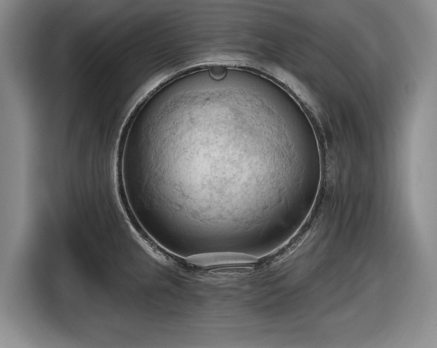 X0000116511237200912161332