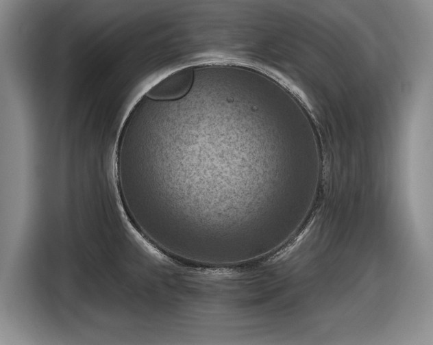 X0000116511239200912161332