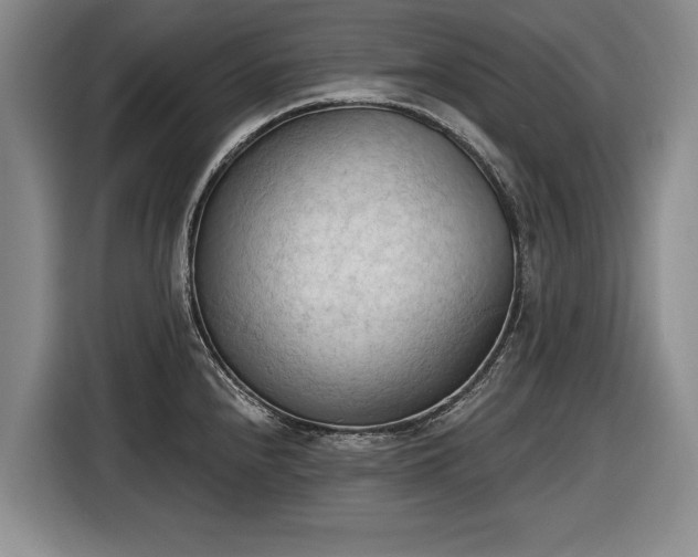 X0000116511240200912161332