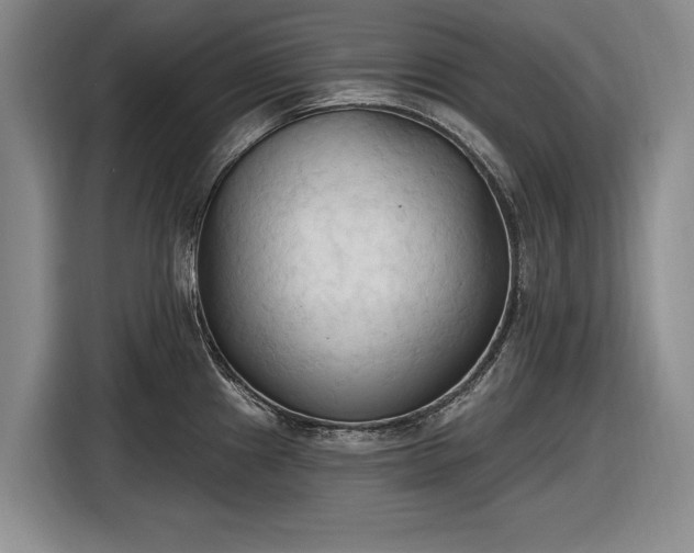 X0000116511241200912161332