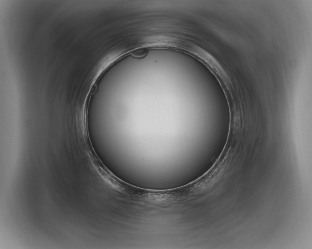 X0000116511242200912161332