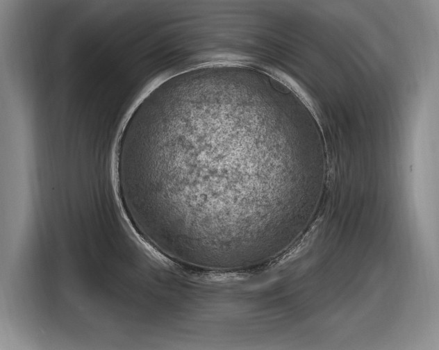 X0000116511243200912161332