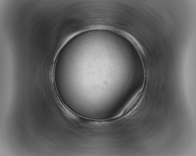 X0000116511244200912161332