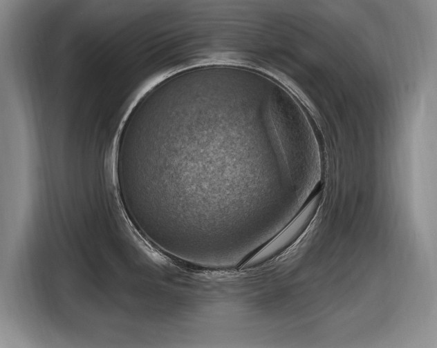 X0000116511246200912161332