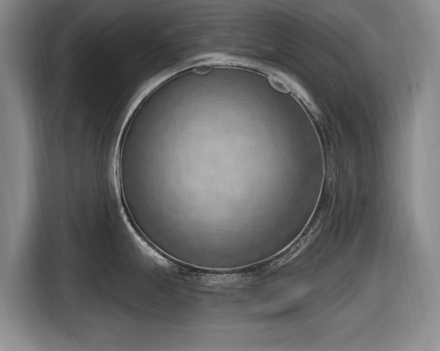 X0000116511247200912161332