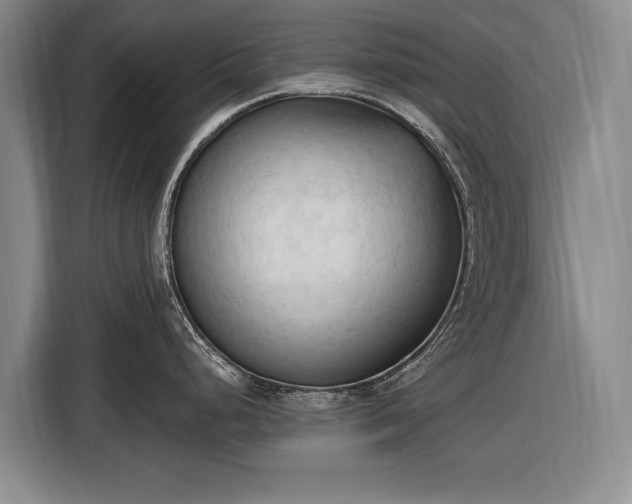 X0000116511248200912161332