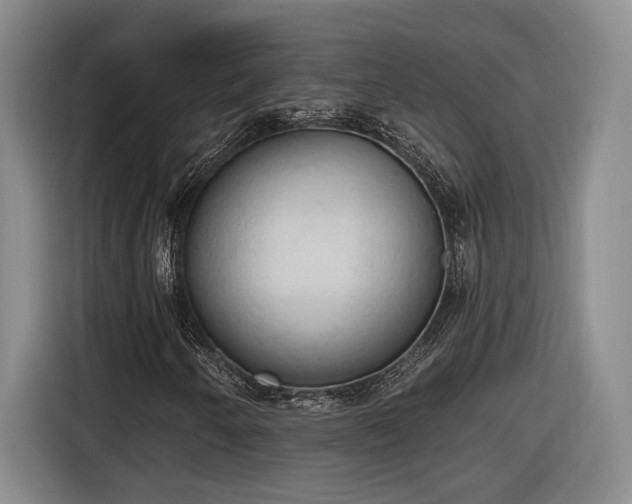 X0000116511250200912161332