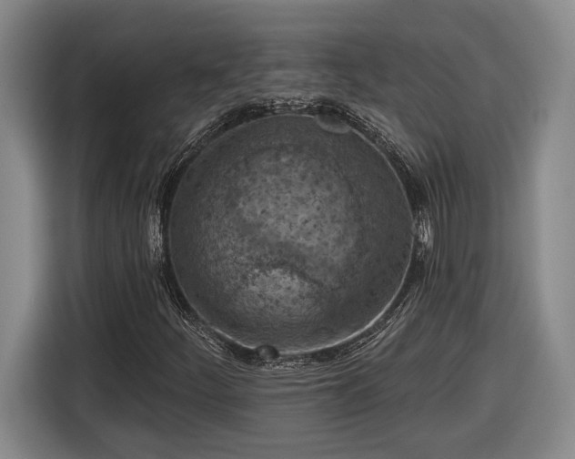 X0000116511252200912161332