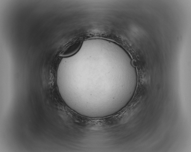 X0000116511253200912161332