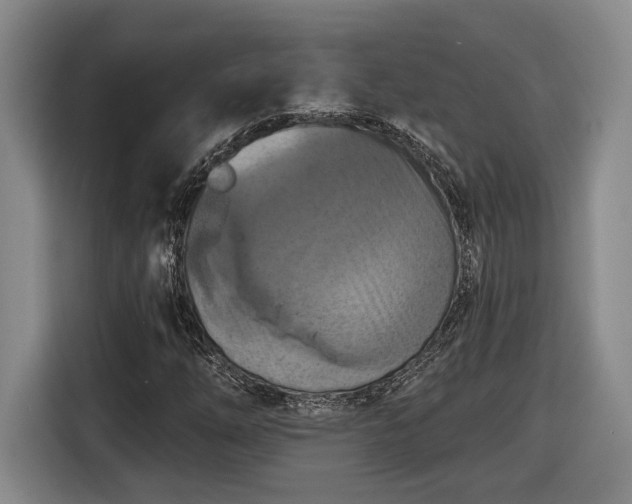 X0000116511254200912161332