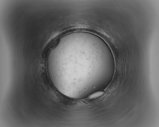 X0000116511255200912161332