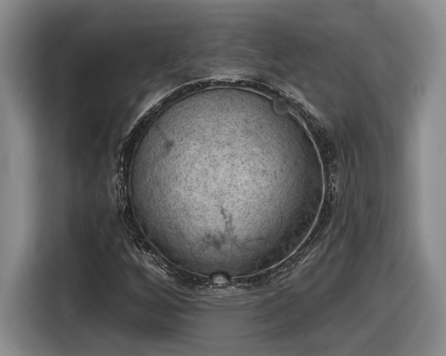 X0000116511256200912161332