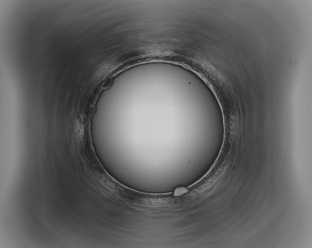 X0000116511257200912161331