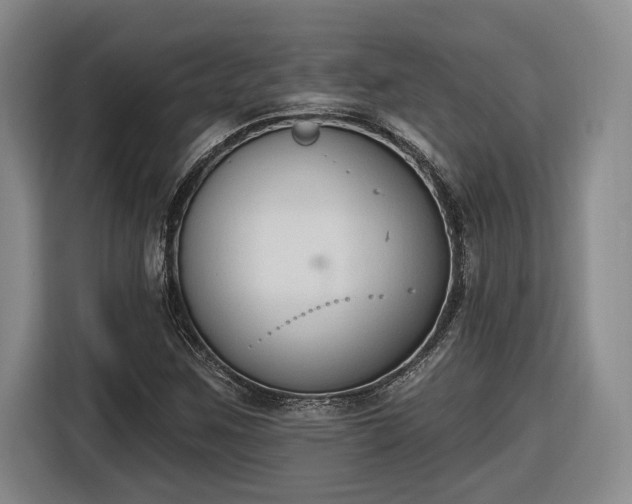 X0000116511259200912161331