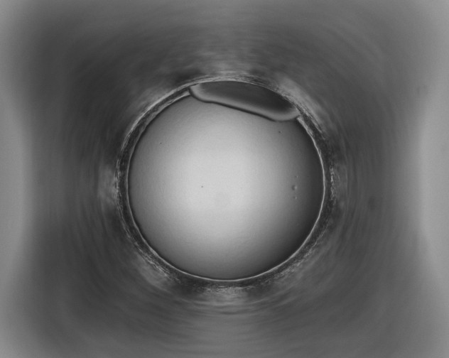 X0000116511260200912161331