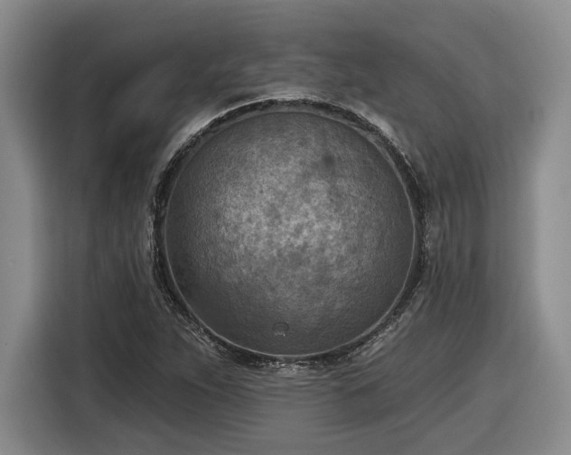 X0000116511263200912161331