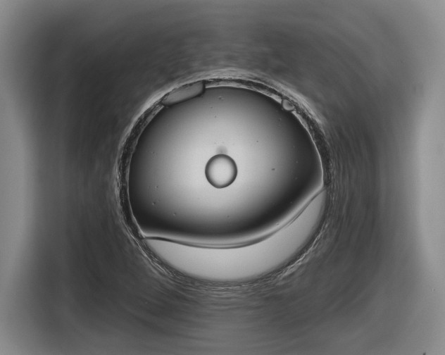 X0000116511264200912161331