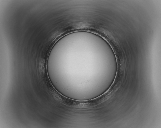 X0000116511265200912161331