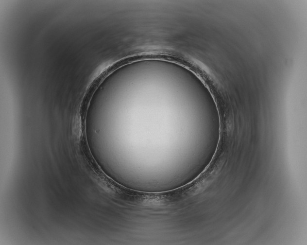 X0000116511267200912161331