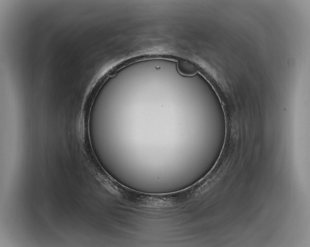 X0000116511270200912161331