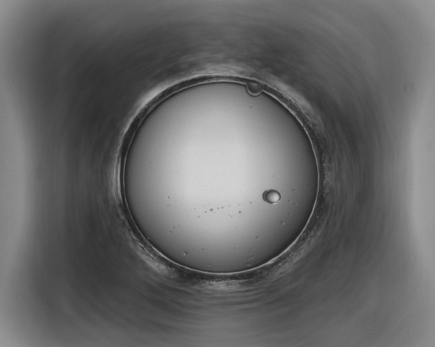 X0000116511272200912161331